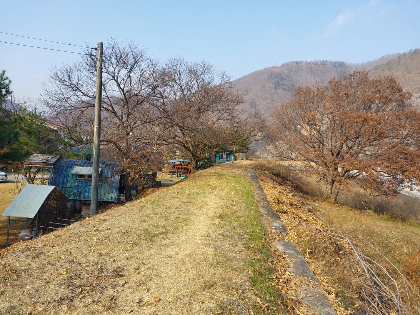 갤러리 사진