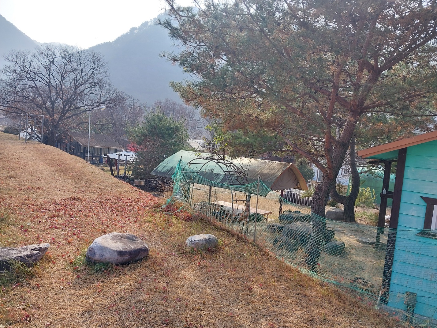 갤러리 사진