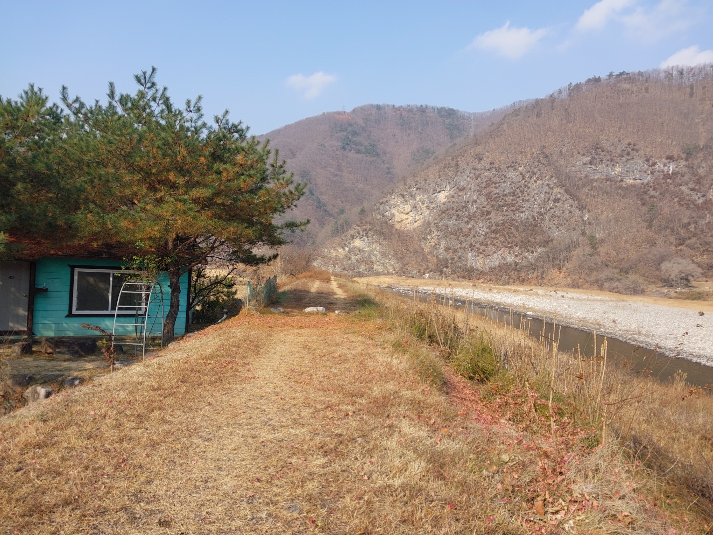 갤러리 사진