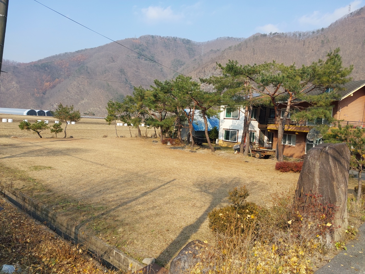 갤러리 사진