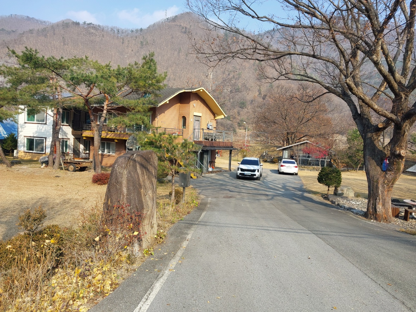 갤러리 사진